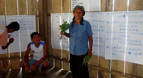 villagerswithplantandboardbehind corner