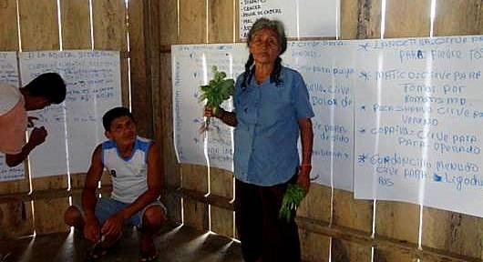 villagerswithplantandboardbehind corner villagerswithplantandboardbehind corner